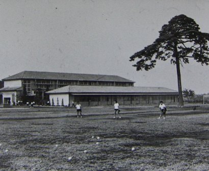 富岡中学校校庭の松