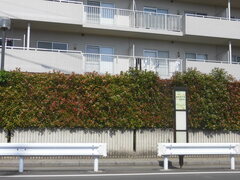 緑町四丁目(上り)の停留所