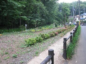 鳩峯公園（せせらぎ広場）2