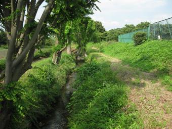 北野の自然護岸の東川1