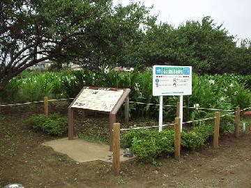 砂川遺跡の写真