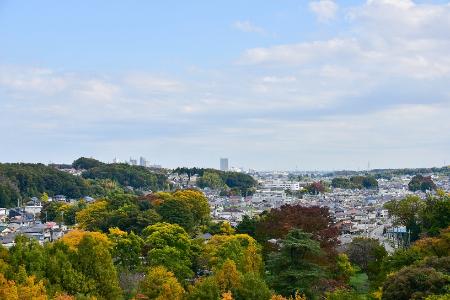 少し色づき始めた木々と街がつくる美しい風景