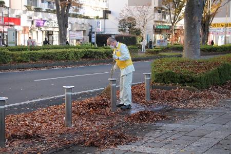 歩道の端にまとまっている湿った落ち葉を掃く様子