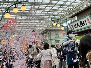 「桜まみれフェス」で桜吹雪が舞う様子