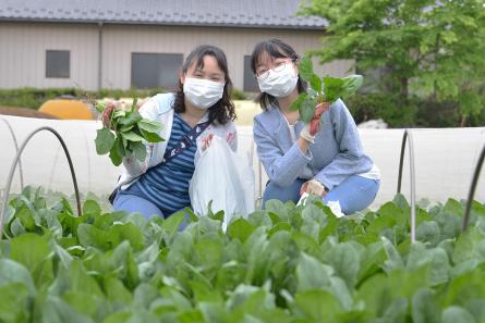 土から抜いたホウレンソウを手にカメラにポーズする母親と女の子