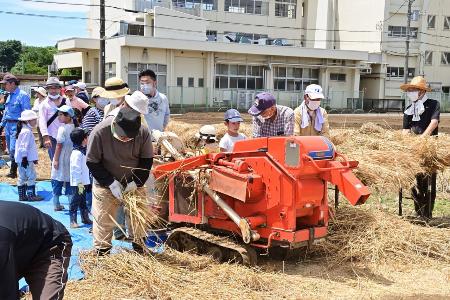 大きな機械で稲刈りをする様子