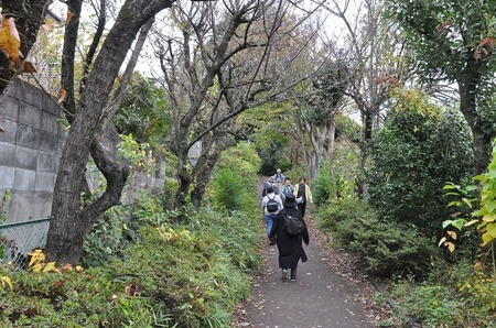 参加者は色づく木々のコースに沿って歩いていく