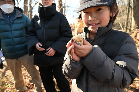 カブトムシの幼虫を持つ男の子の画像