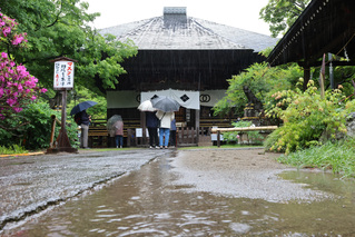 雨の中の寅まつりの様子