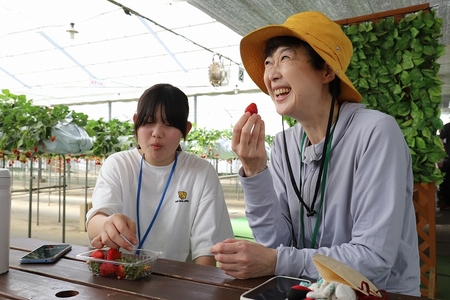 いちご狩りしたいちごを食べて笑顔の女性たち