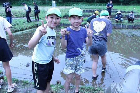 三ケ島小学校田植え体験